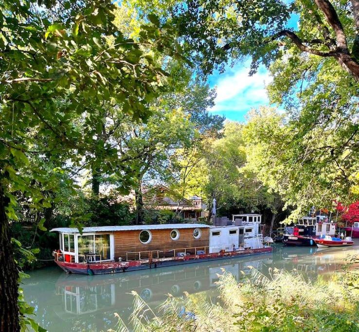 Insolite Peniche Amazonie Canal Du Midi Gardouch エクステリア 写真